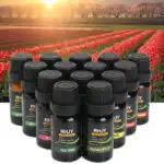 Essential Oil Diffuser Set routine view